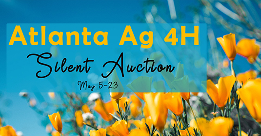 Atlanta Ag 4H Silent Auction