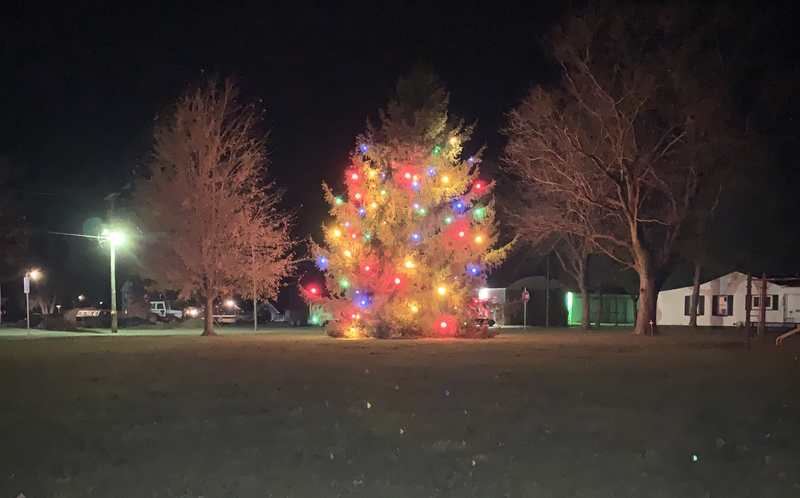 Christmas Tree Lighting in Armington