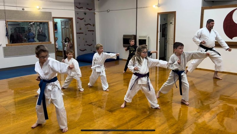Mackinaw Valley Karate and Fitness