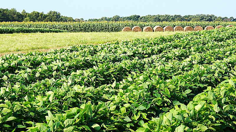 2022 USDA Farm Acreage Estimates