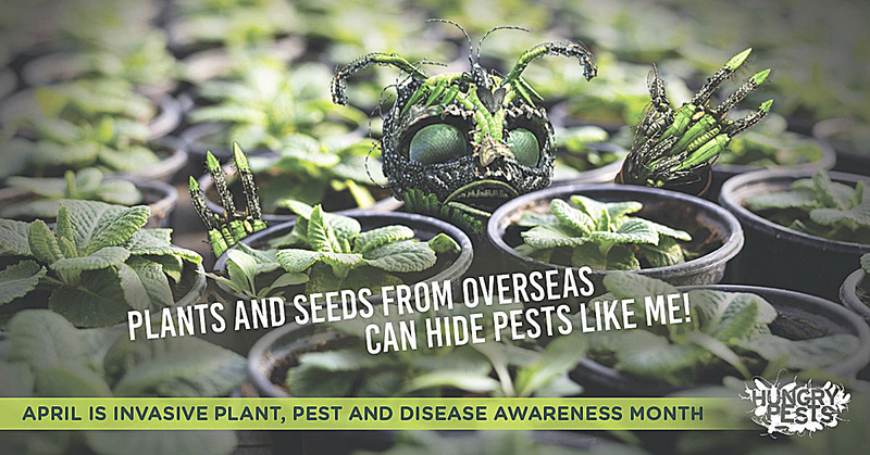 Invasive Plant Pest and Disease Awareness Month