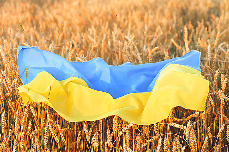 Ukrainian Agriculture Update